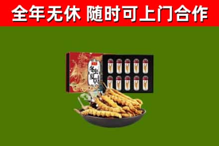 迁西回收冬虫夏草价格