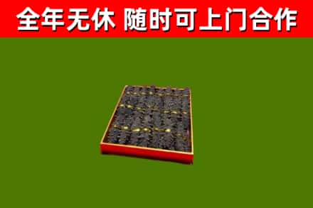 迁西回收海参